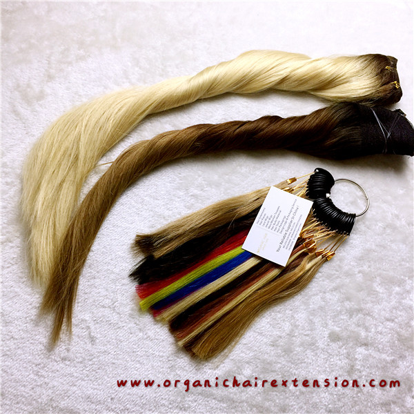 Wire hair extensions flip on hair extensions salon